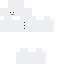 Minecraft skin texture