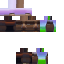 Minecraft skin texture